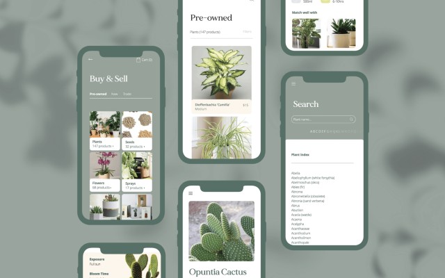 How do you design a plant care app?